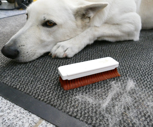 Der große Fusselschreck® – Bürste mit Krallenborsten für Tierhaare, Fussel & Staub. Für Sofa, Kleidung & Auto. Made in Germany.