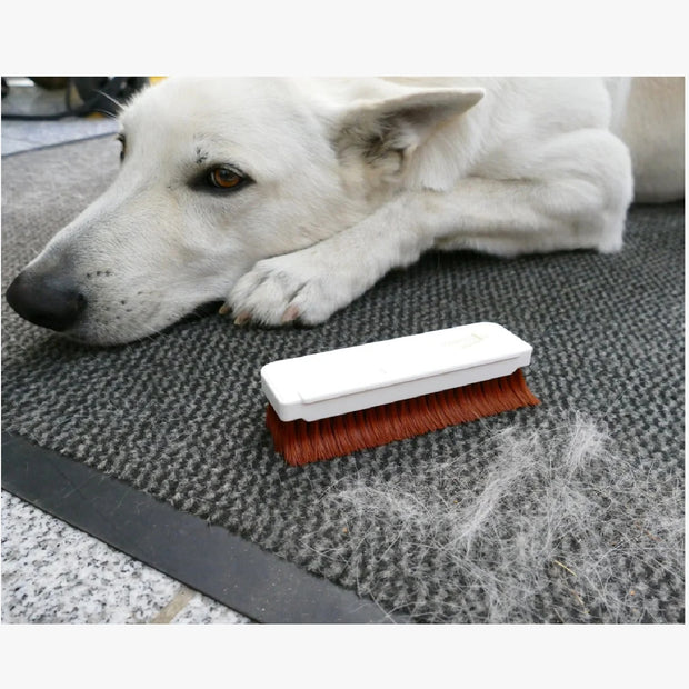 Krallenbürste Made in Germany — Entfernt hartnäckige Tierhaare von Sofa, Kleidung und Auto. Langlebig, kraftvoll, ohne Kleberollen.