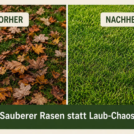 Vorher-Nachher-Vergleich zur Laubbeseitigung: Rasen mit Herbstlaub und laubfreie Rasenfläche